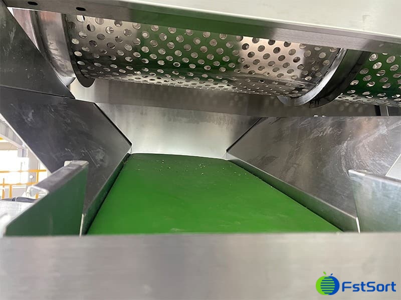 images/1667292225623walnut grader sorter.jpg